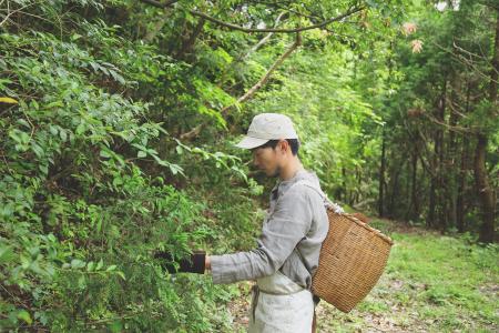 【地域資源をファッションに】島根県・石見銀山の“山
