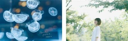 写真プリントの魅力を再発見！カメラと写真の展示会「