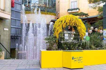 川崎駅周辺一帯がミモザ色に染まる日常の景色が一変す 川崎駅周辺一帯がミモザ色に染まる日常の景色が一変す