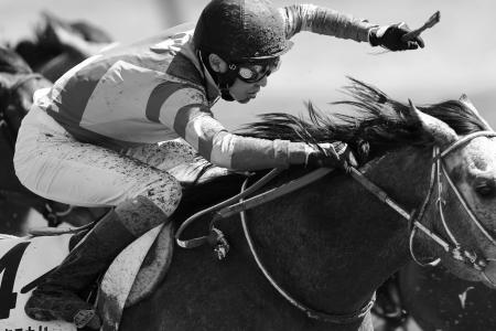 デビュー40年を記念した特別展「武豊デビュー40年～前