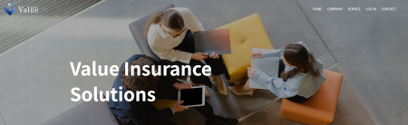 Value Financial Holdings 株式会社、米国子会社VISが