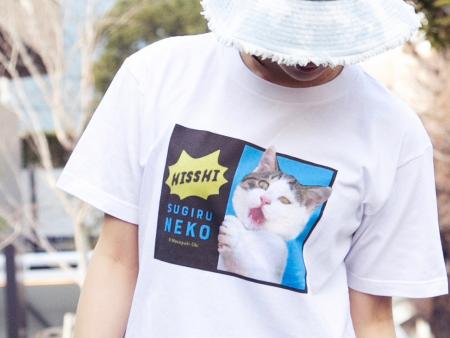 【猫の日の話題】累計９万部の大ヒット写真集『必死す