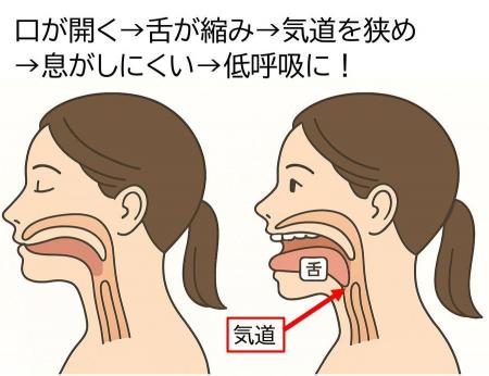楽天ランキング「インナー・下着・ナイトウェア部門」