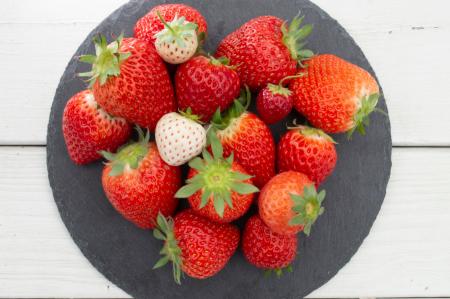 【湯の山 素粋居】アクアイグニス TSUJIGUCHI FARMの2