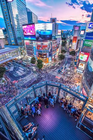 2026年3月3日（火）リニューアルオープン！『CROSSING