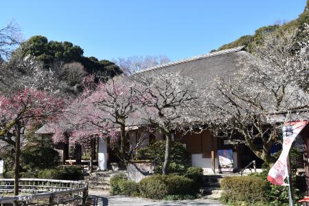 訪日外国人向けデジタルチケットに京王線・井のutf-8