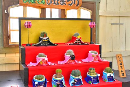 伊豆シャボテン動物公園の“春の風物詩”！ 世にも珍し