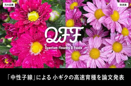 クォンタムフラワーズ＆フーズ（QFF）、中性子線照射