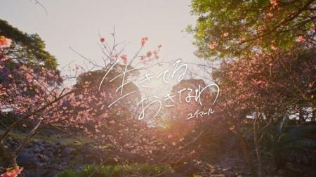 沖縄JTB 株式会社、株式会社JTBコミュニケーションデ