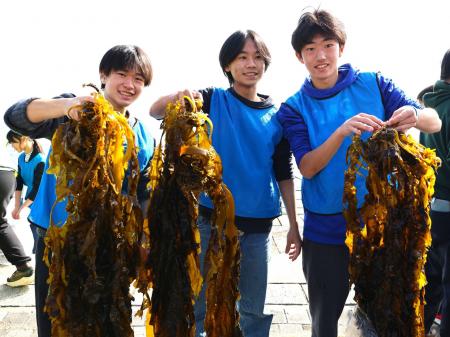 横浜の海で高校生たちが収穫したワカメを使ったパンを