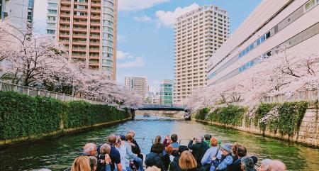 【2026年お花見】目黒川の桜を「水上の特等席」で。グ