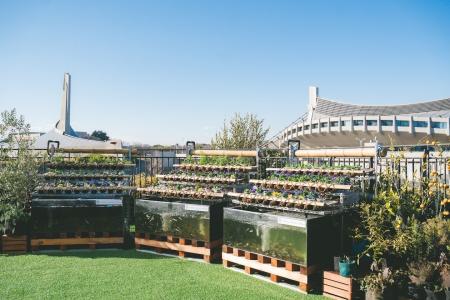 都会の真ん中で“心と体をととのえる”体験を ー「AGRIK