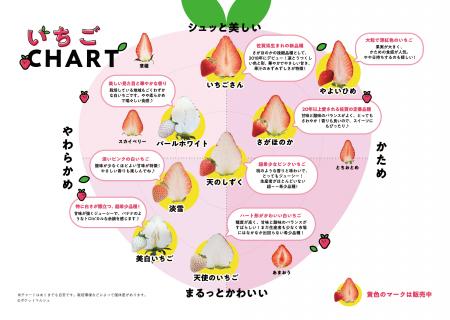 赤・白・ピンク！佐賀のいちご8品種を食べ比べ！！大
