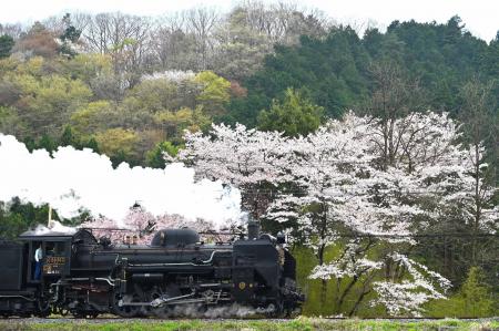 秩父鉄道のSLパレオエクスプレス、2/20(金)からutf-8