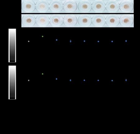 抗ウイルス・抗菌・抗老化作用をもつ『VB』に新utf-8
