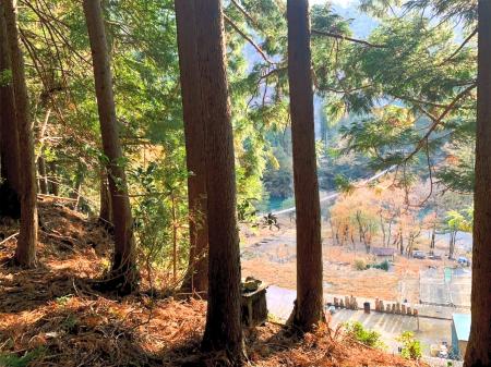 森林レンタルサービス