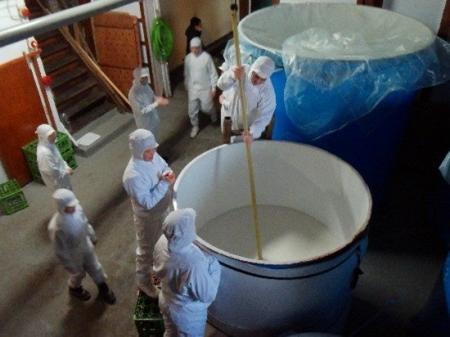 【北海道の酒造りに新潮流】道産酒米の進化と歩みを共