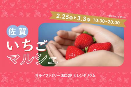 佐賀県と連携し、旬のブランドいちご8銘柄が集結する 佐賀県と連携し、旬のブランドいちご8銘柄が集結する