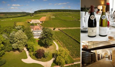 ブルゴーニュ最大規模の特級畑を擁する老舗メゾン「Lo