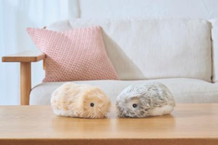 慈恵医大小児病棟にAIペットロボット“Moflin”を提供 慈恵医大小児病棟にAIペットロボット“Moflin”を提供