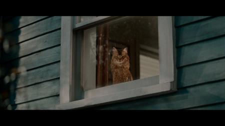 YKK APのTVCM「窓と猫の物語」シリーズ　新CMを2月20