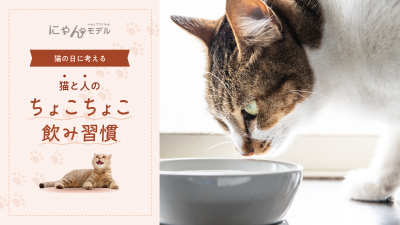 猫の日に考える「猫と人のちょこちょこ飲み習慣」～コ