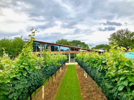 白金高輪のモダンビストロノミー「Sillage」、テキサ 白金高輪のモダンビストロノミー「Sillage」、テキサ