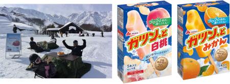 雪山のこたつで「ガツン、とみかん」!! ゴロゴロ果 雪山のこたつで「ガツン、とみかん」!! ゴロゴロ果