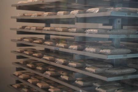 津南醸造の代表が、インドネシア「Kopti Rumah Tempe 