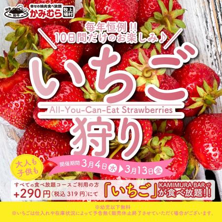 【かみむら牧場】焼肉屋さんでいちご狩り！？今年もや