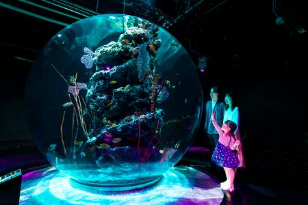 好評につき『幼児無料キャンペーン』を継続します！