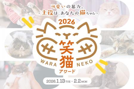 全国から寄せられた愛猫動画より『笑猫アワード2026』