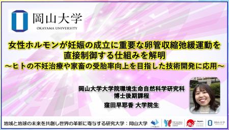 【岡山大学】女性ホルモンが妊娠の成立に重要な卵管収