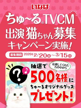 いなばペットフード 2026年TVCM 出演猫ちゃん大募集 いなばペットフード 2026年TVCM 出演猫ちゃん大募集