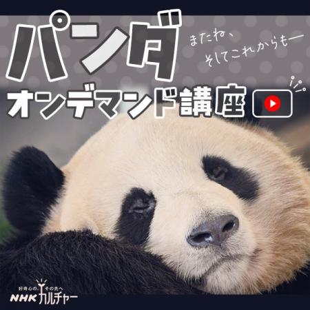 【NHKカルチャー】寒い季節はおうちでもふもふ！人気