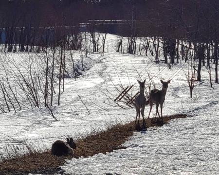 合同会社つれづれ、FOODEX2026 に出展決定。「エシカ 合同会社つれづれ、FOODEX2026 に出展決定。「エシカ