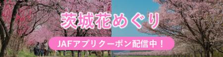 【JAF茨城】県内の花の名所をお得にドライブ!「花め 【JAF茨城】県内の花の名所をお得にドライブ!「花め