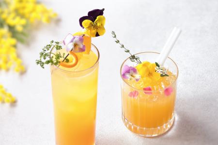 【都ホテル 博多】女性の活躍と前向きな一歩を応援す