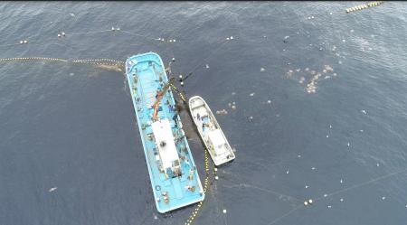 前代未聞のクラゲのクラフトビール、「くらげクラフト