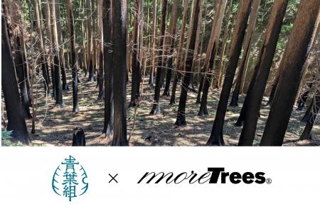 【大船渡・林野火災から1年】青葉組とmore treesが岩