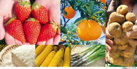 【道の駅木更津うまくたの里】週末恒例の詰め放utf-8 【道の駅木更津うまくたの里】週末恒例の詰め放utf-8