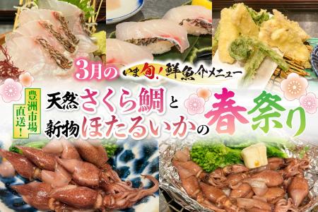 2026年3月限定“いま旬!”天然さくら鯛と新物ほたるい 2026年3月限定“いま旬!”天然さくら鯛と新物ほたるい