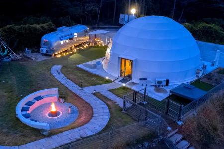 【2026年2月新規掲載】愛犬×農業体験　伊豆で自然と触