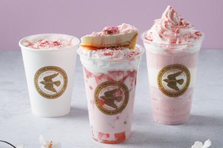 【チーズガーデン】華やかな桜色の愛らしい季節限定カ