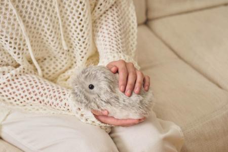 AIペットロボット“Moflin”が福岡オレンジパートナーズ