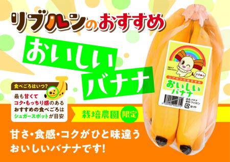 リブレ京成公式キャラクターリブルンのおすすめ　おい