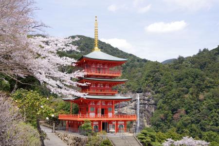 休暇村南紀勝浦の人気プログラム「世界遺産ウォーク熊