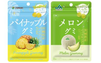 ちいさくリフレッシュ！『JAおきなわ　パイナップルグ