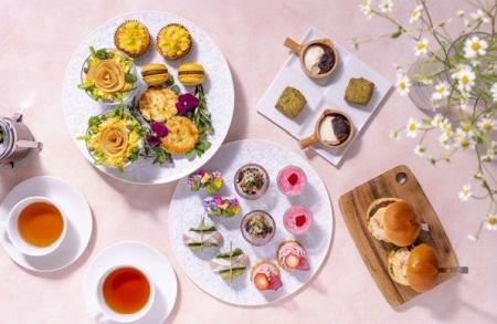 やわらかな春色に包まれる、心ほどける午後のひととき やわらかな春色に包まれる、心ほどける午後のひととき