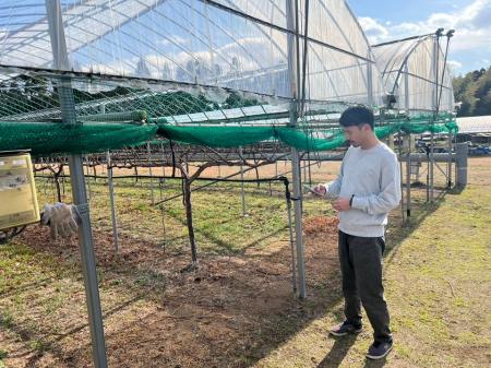 熊本ワインファーム(本社:熊本市)が「Platio」を導 熊本ワインファーム(本社:熊本市)が「Platio」を導